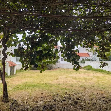 Appartamento Casa 5