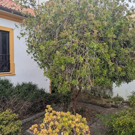 Casa 5